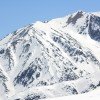 Chile: Colorado y el pisco sagüer en la nieve