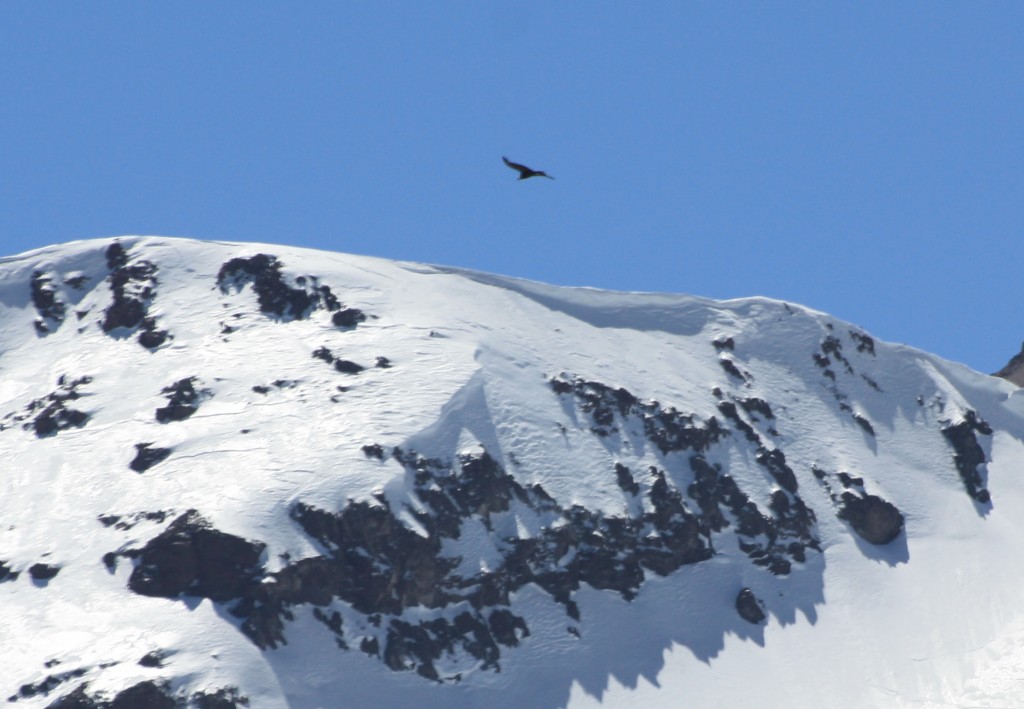 cronicas viajeras colorado condor