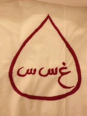 Logo del Riad CharmCam