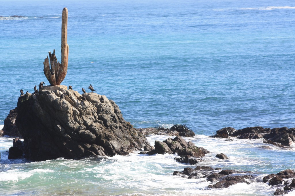 playa el quisco cronicasviajeras