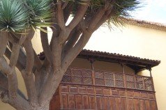 balcon y drago La Laguna