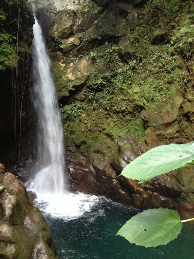 catarata oropéndula rincón de la vieja