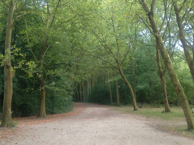 Bruselas en bicicleta 
