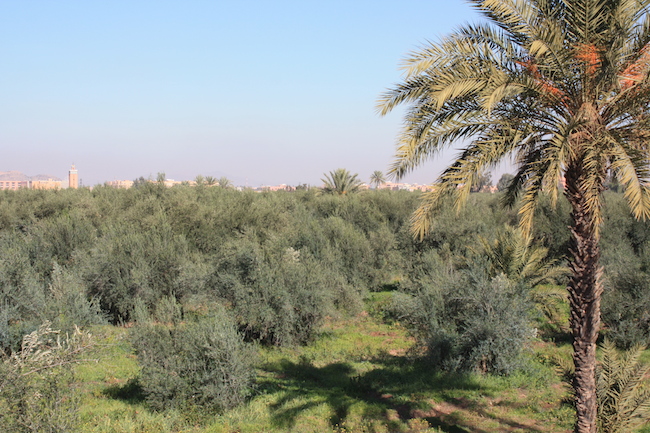 la_menara_marrakech